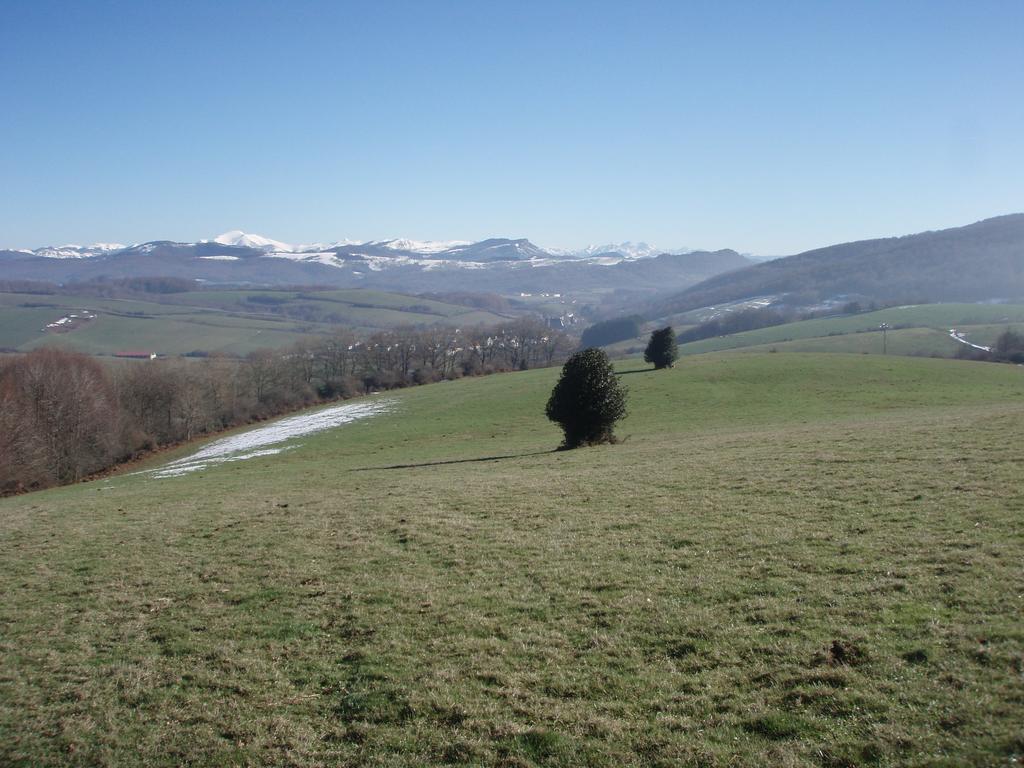 Casa Rural Irugoienea Espinal-Auzperri Esterno foto