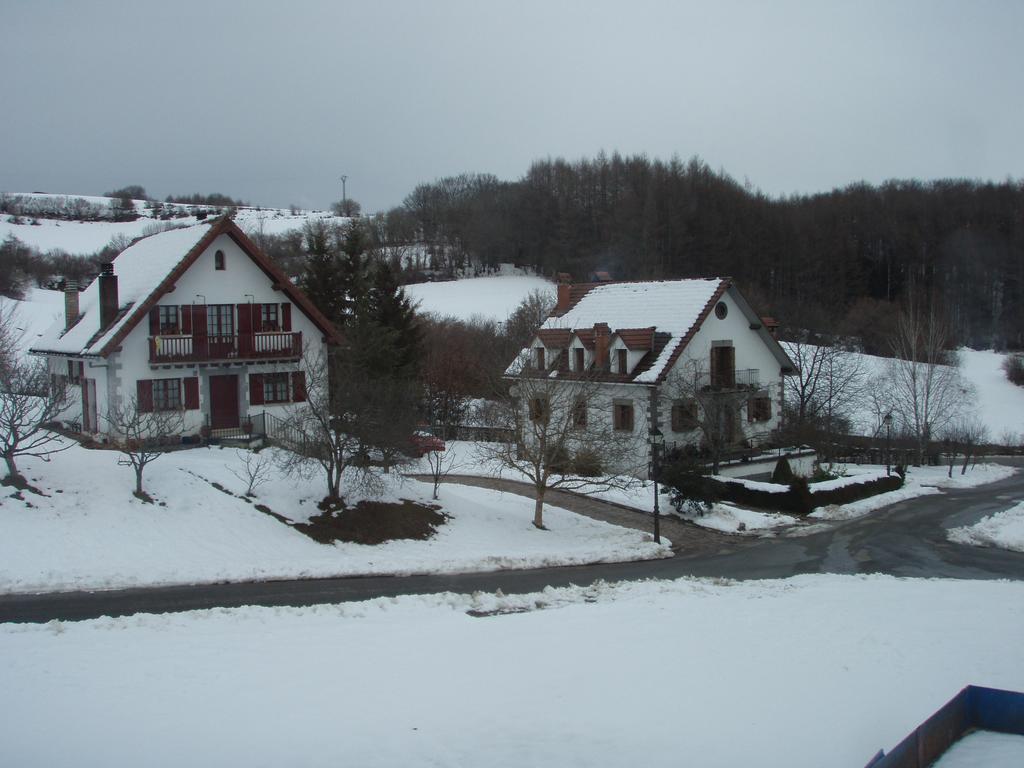 Casa Rural Irugoienea Espinal-Auzperri Esterno foto