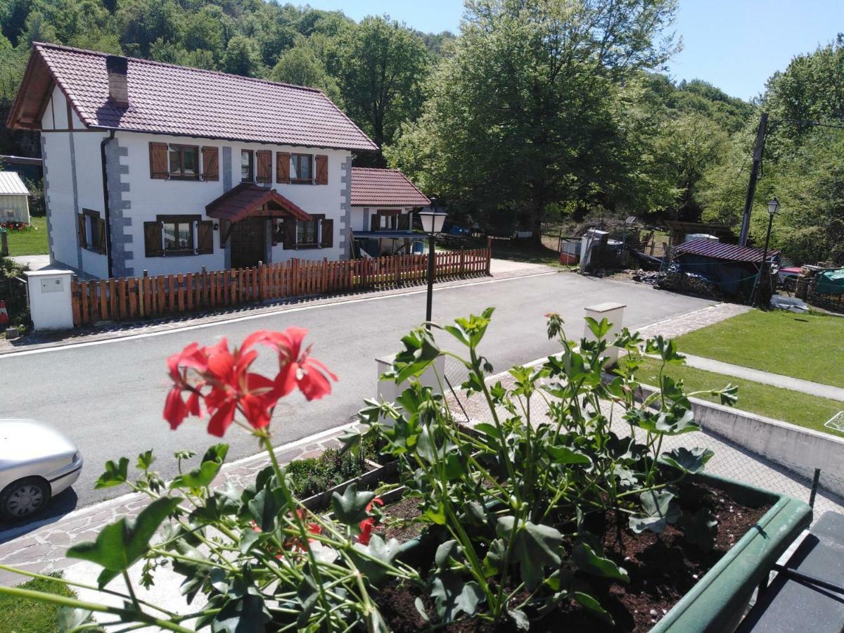 Casa Rural Irugoienea Espinal-Auzperri Esterno foto
